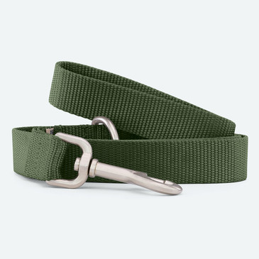 Webbing Dog Leash Webbing Dog Leash
